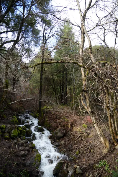 DSC_0916 (Large).JPG